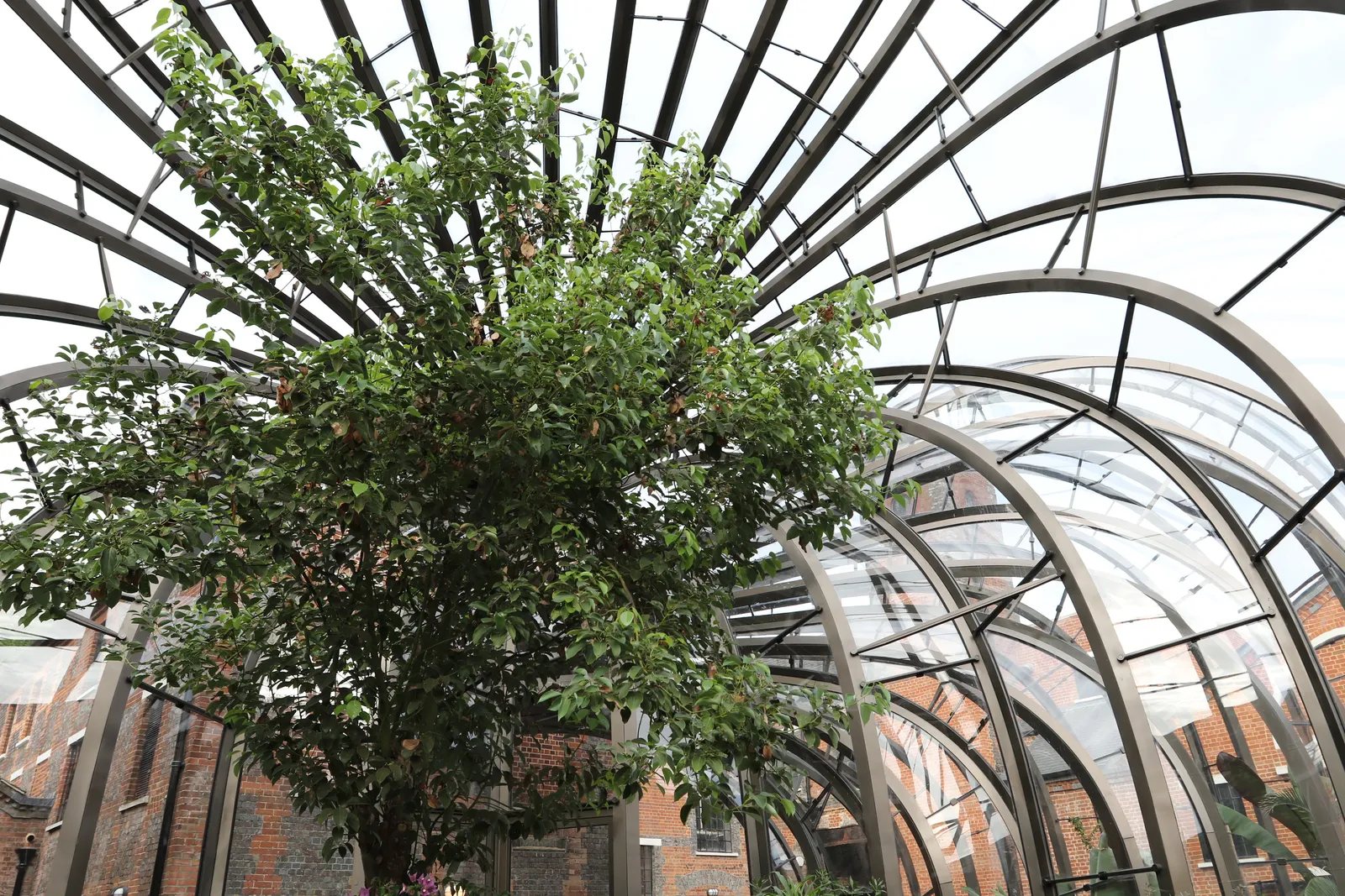 Bombay Sapphire Distillery