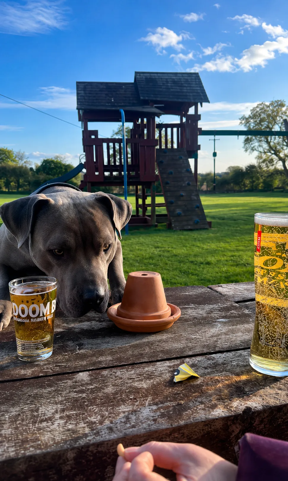 Dog Friendly Gastropub and Garden at The Sun Inn